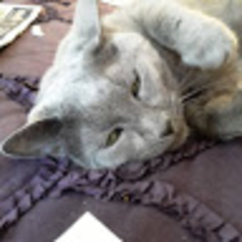 Meet your Posher, Renee